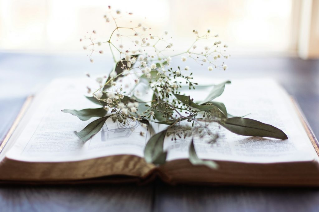 A book with a bunch of flowers on top of it